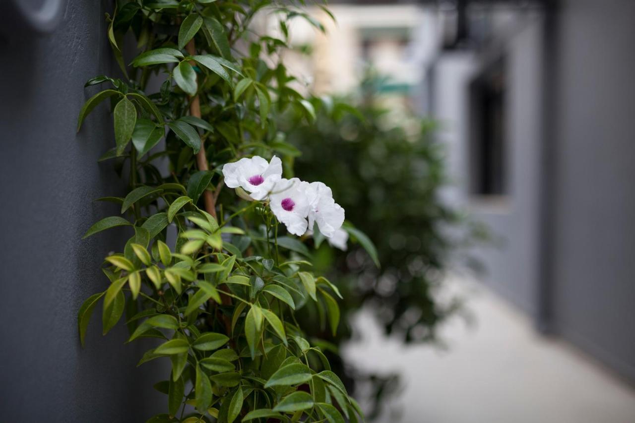 Spacious Flat With Courtyard And Private Parking! Атина Екстериор снимка